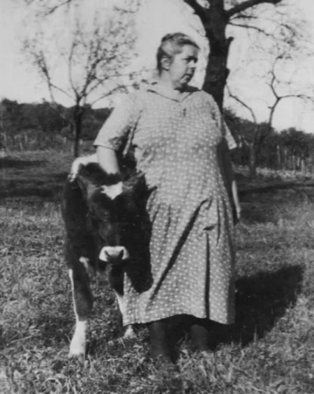 Old black-and-white photo of a woman next to a calf in a field