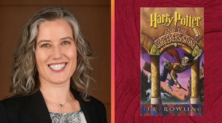 Book Recommendation: The Harry Potter Series