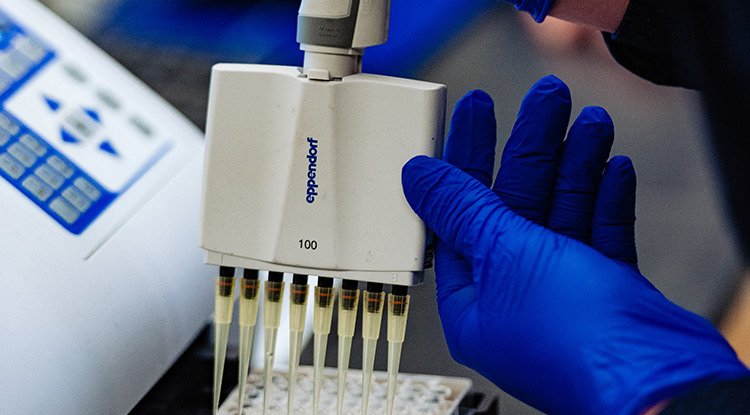 IUP Forensic Science Major to Begin Accepting Students for Fall 2025