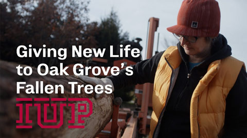 A person in a brown vest and red had look over a fallen oak tree being loaded onto a transport vehicle.  The words Giving New Life to Oak Grove’s Fallen Trees are on top of the image.