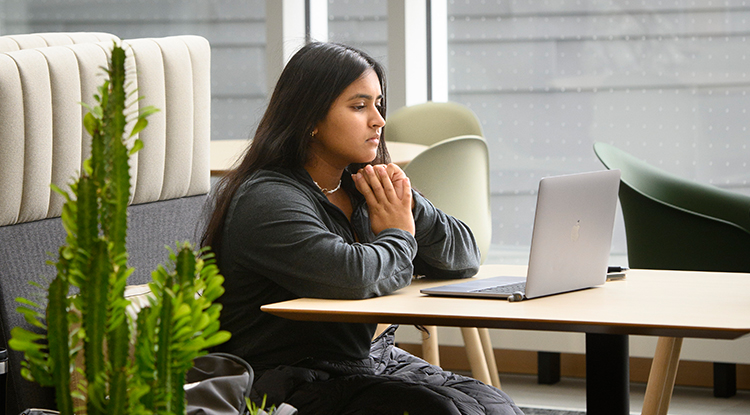 Finals Week: Top Study Spots and Resources