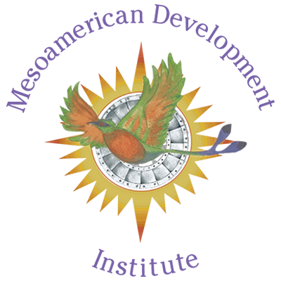Logo for Mesomaerican Development Institute
