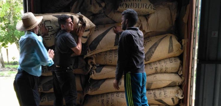 Workers loading sacks of coffee beans on a truck