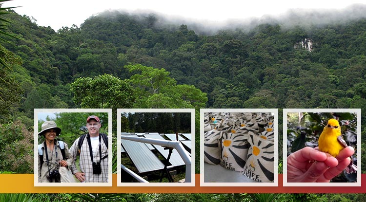 Making Coffee Production More Sustainable