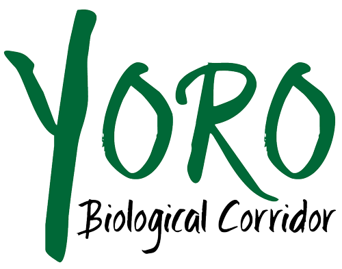 Yoro Biological Corridor logo