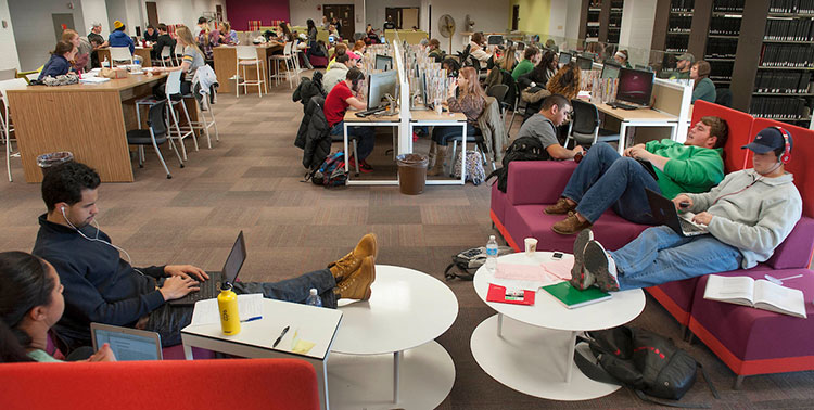 Students reading and studying in Stapleton Library
