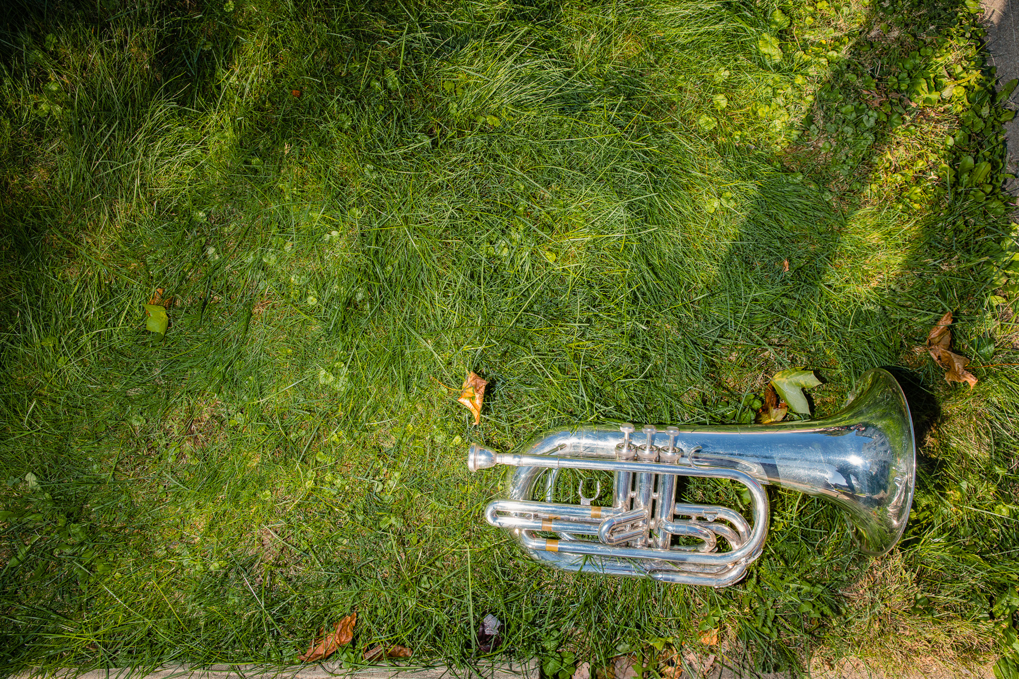 A trumpet belonging to a member of the IUP marching band lies in the grass.