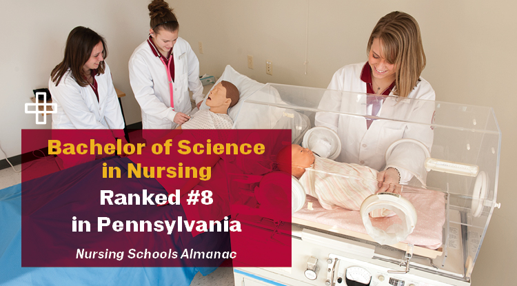 bachelor of science ranked number 8 in Pennsylvania