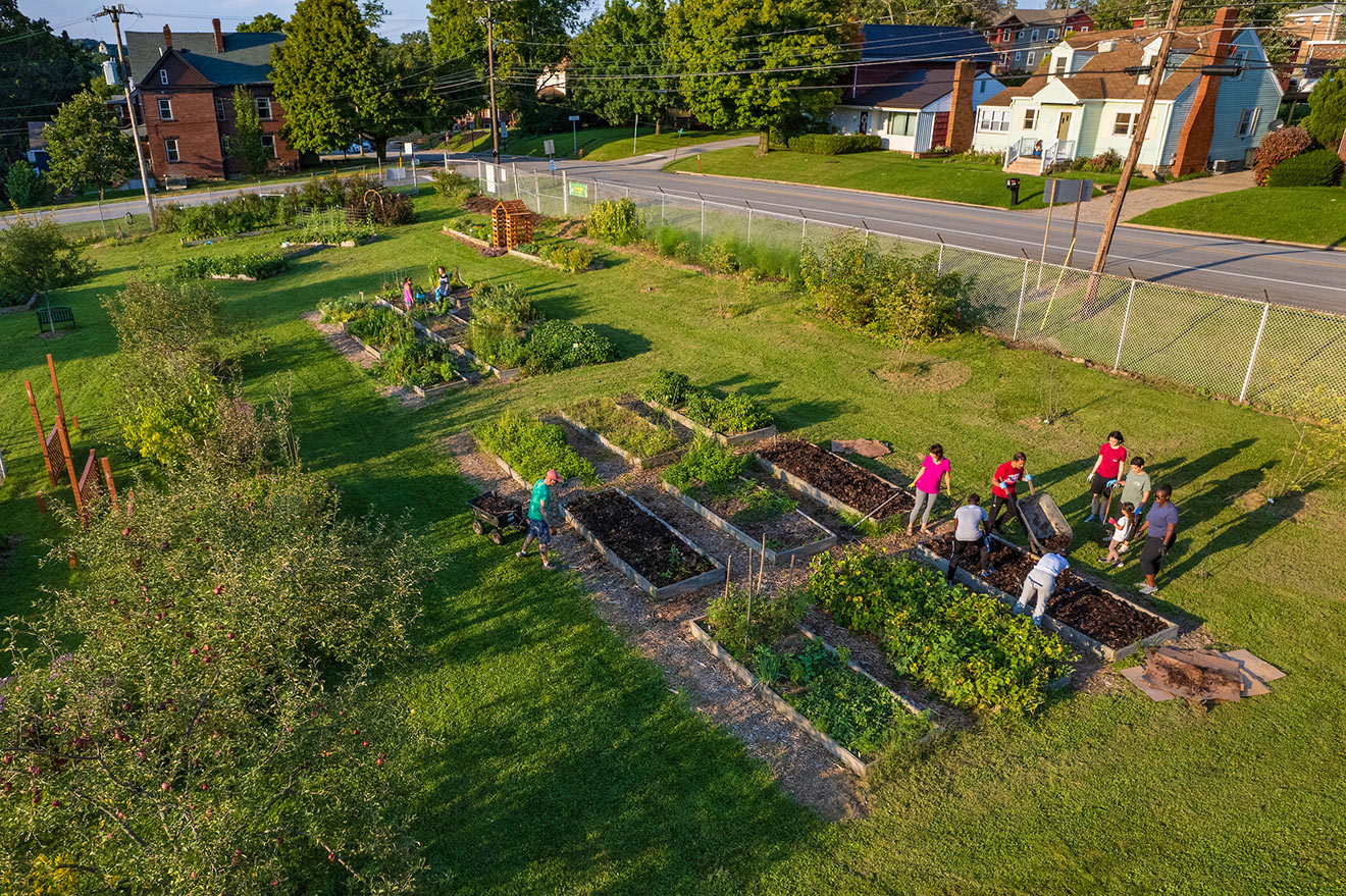 A low aerial view of a garden in a grassy area bordered by a chain-link fence near an intersection in a town. In the foreground are a tree and nine rectangular, raised garden beds in rows of three, where people are working. More planting areas are visible in the background.