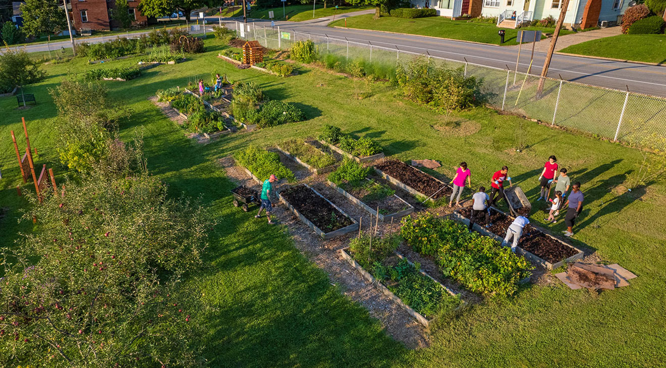 top down photo of a group of people tending to a small garden