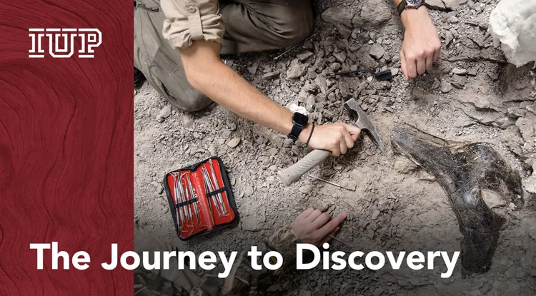 a top down view of a person excavating dinosaur bones from the dirt