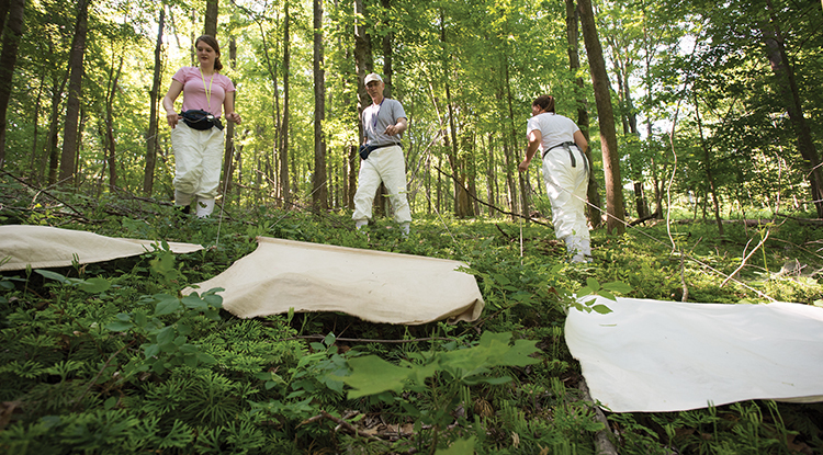 IUP, IRMC Continues Season Two of “Rural Health Pulse” Podcast With Episode on Ticks and Diseases They Transmit