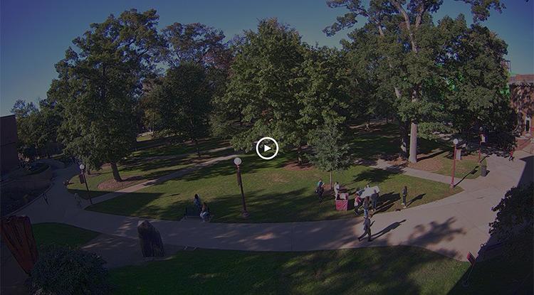 Oak Grove Livestream