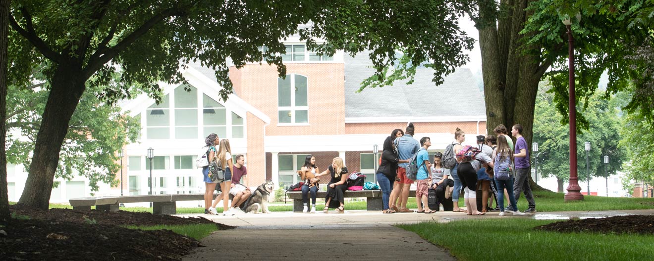 group of students gathered together in the oak grove, from a distance