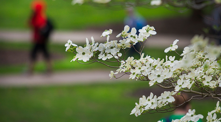 Staff Member Death: JoAnne Britcher