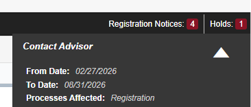 Example of a student hold titled contact advisor. 