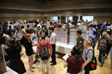 Poster presentation session at the Undergraduate Scholars Forum