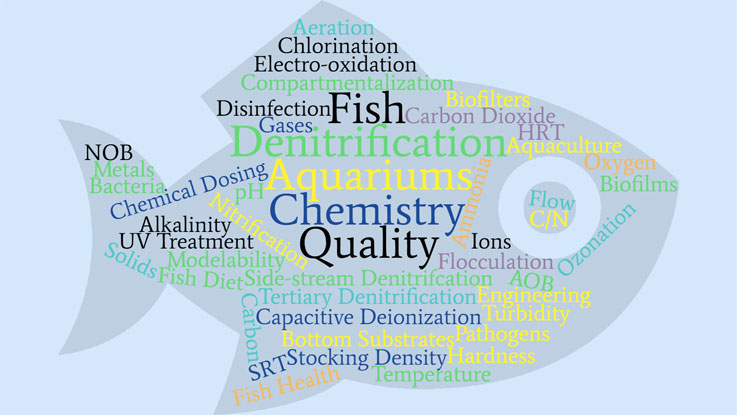 Micayla Schambura's Research