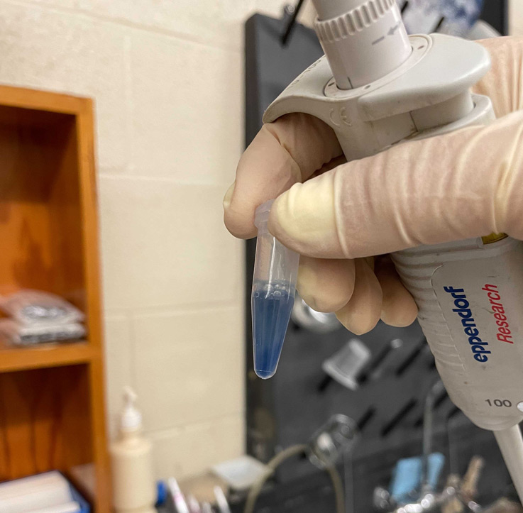 a hand holding a tiny vial of blue liquid