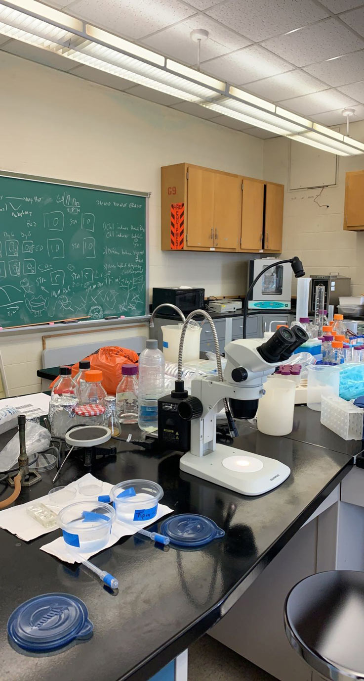 a microscope sitting on a lab countertop