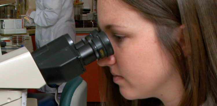 A nursing student in a clinical lab looks through a microscope 