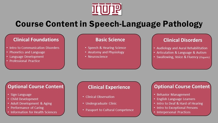 BS in SLP Course Content: Clinical Foundations, Basic Science, Clinical Disorders, Clinical Experience, Optional Course Content, and More