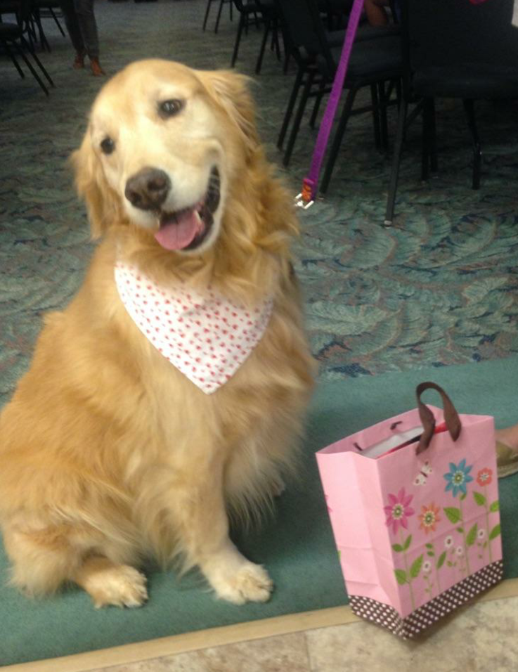 Roxie the Therapy Dog