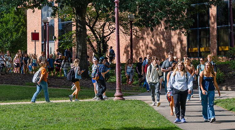 Help IUP support you!