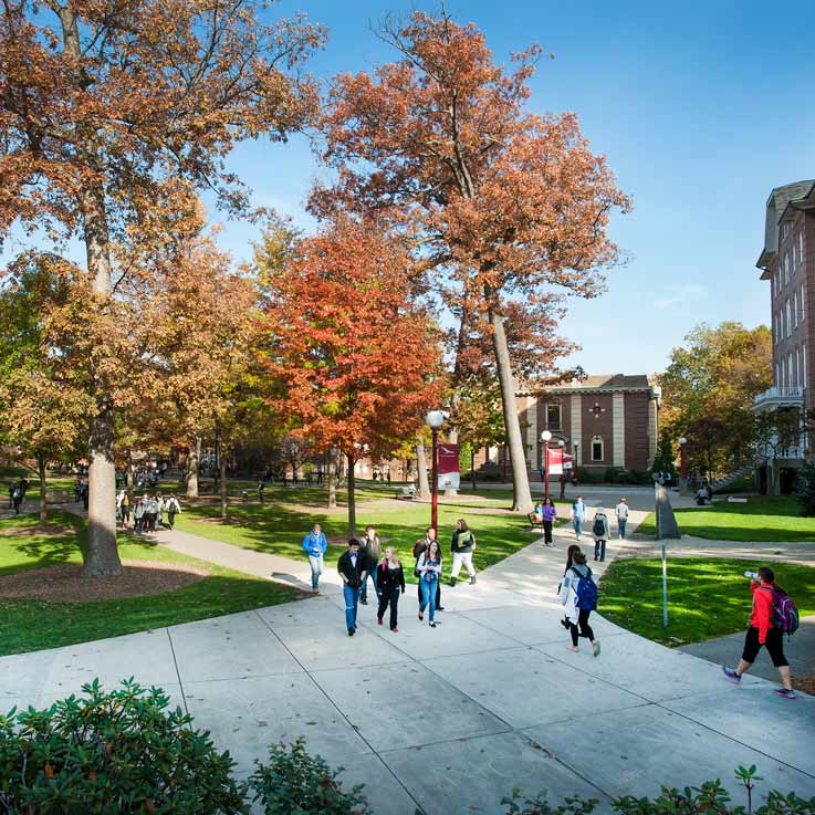 the oak grove in the fall