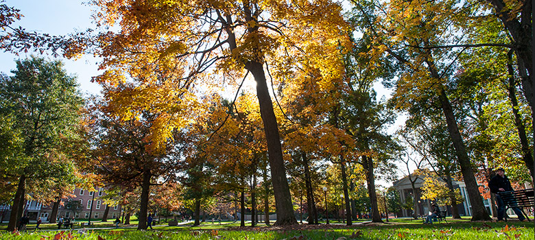 The Oak Grove at Indiana University of Pennsylvania