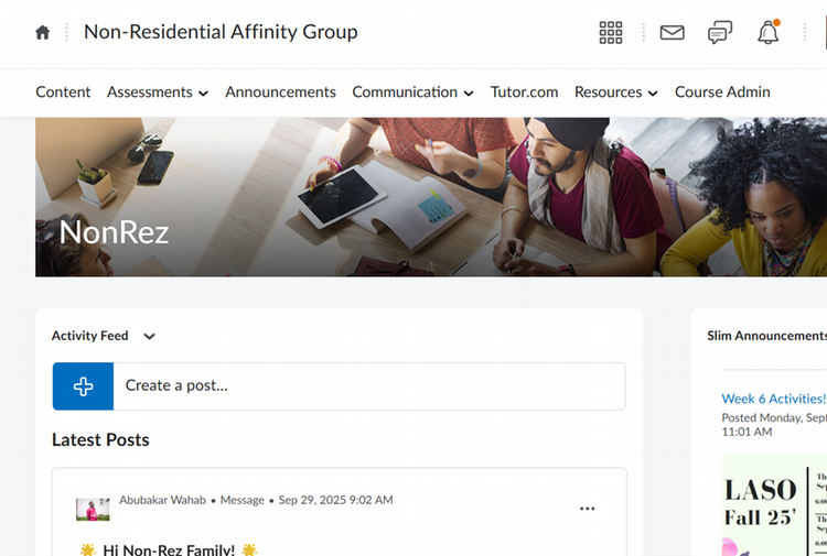 Screenshot of the main page of the NonRez D2L website