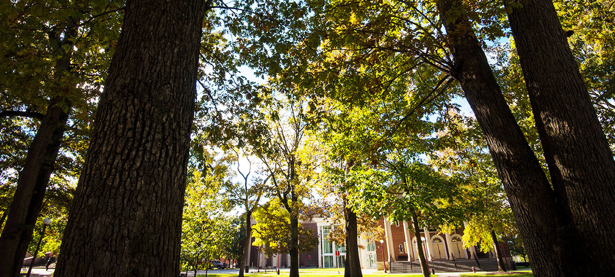 IUP oak grove