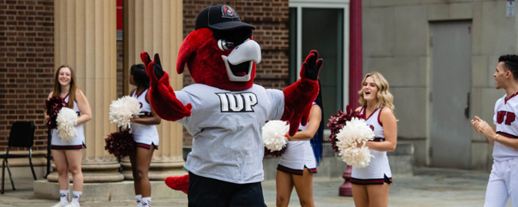 Norm, the IUP mascot, cheering with IUP cheerleaders