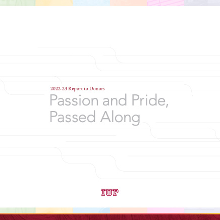 donor report cover