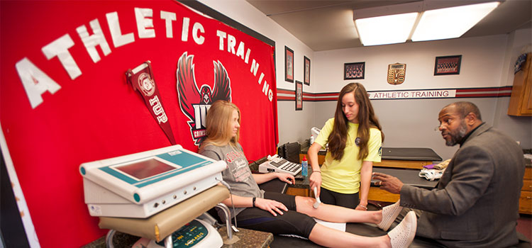 Students learn from a Kinesiology professor about using an ultrasound device