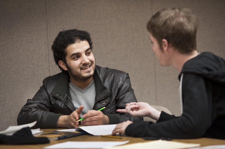 Advising Undergraduate Students