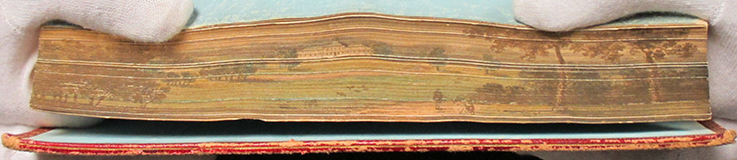 The Seasons - Fore-edge painting photo
