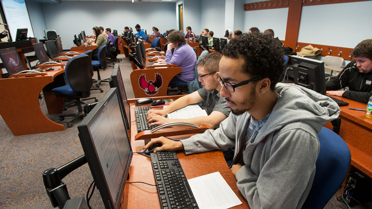 Information Systems and Decision Sciences Programs
