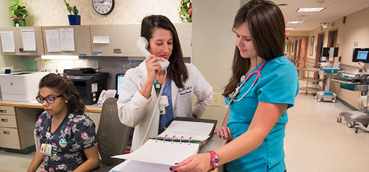 nursingonline edu
