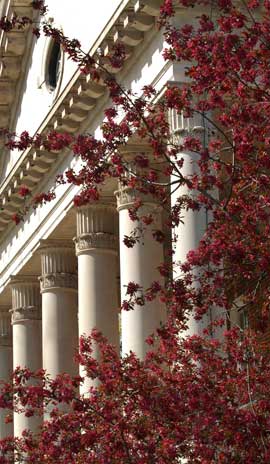 View of columns of Waller Hall