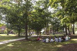 A small class meets in the Oak Grove A small class meets in the Oak Grove