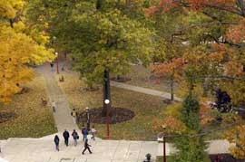 The Oak Grove pictured from above in the fall