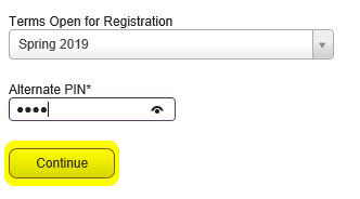 Enter your Alternate PIN and select Continue