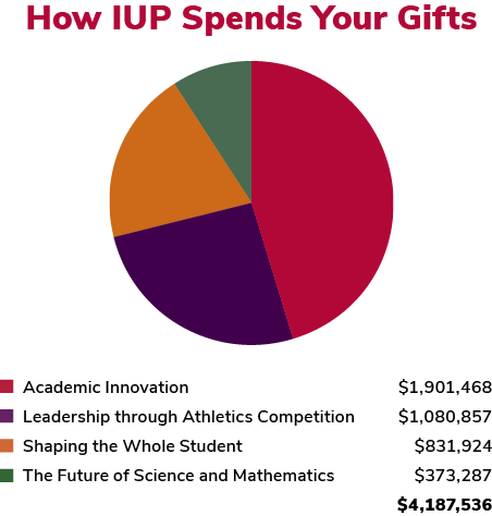How IUP Spend Your Gifts, 2016-17