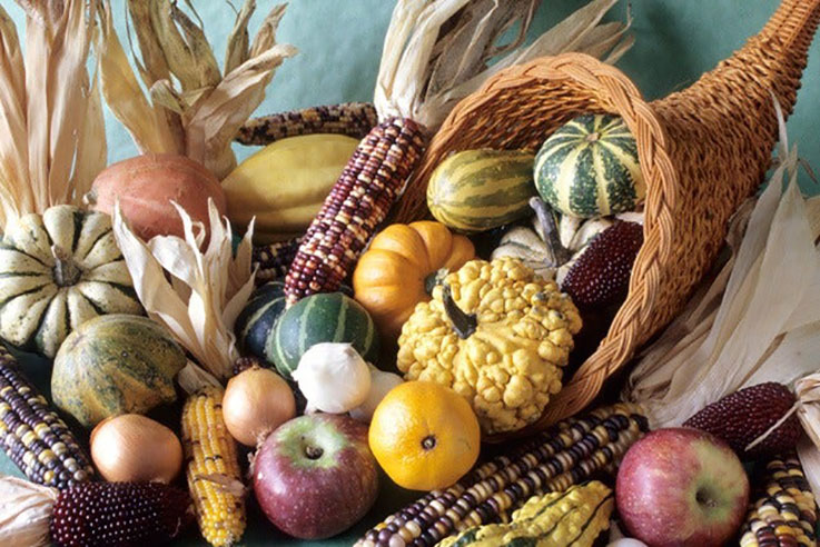 Thanksgiving cornucopia