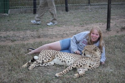 Student and a cheetah during the 2013 trip to southern Africa Allison Moore and a cheetah during the 2013 trip to southern Africa