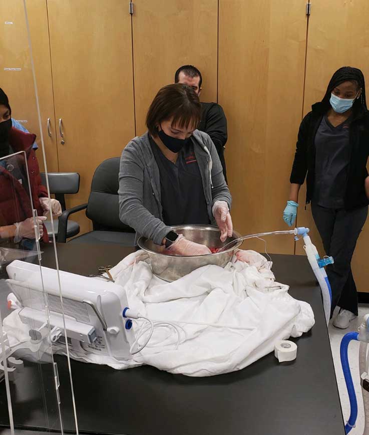 Students watching a staff member from the Center for Organ Recovery in Pittsburgh giving a wet lab educational session 