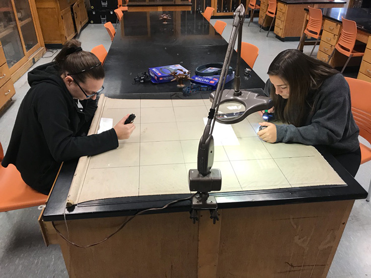 Anna Manges and Emily Welch checking drags for tick larvae in laboratory