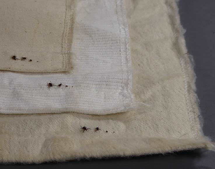 Ticks on drag fabrics