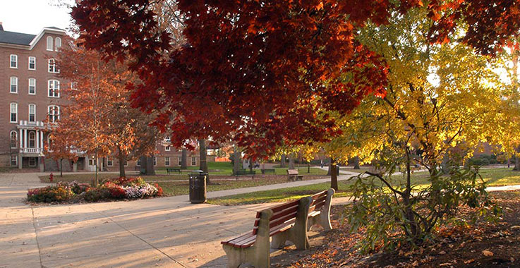 A fall scene in the Oak Grove A fall scene in the Oak Grove